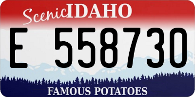 ID license plate E558730