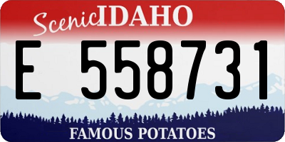 ID license plate E558731