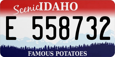 ID license plate E558732