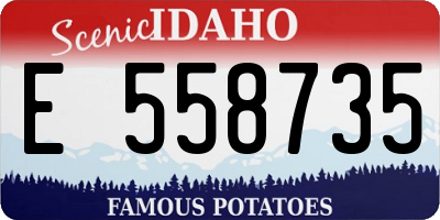 ID license plate E558735