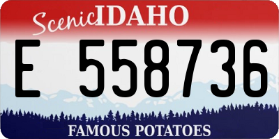 ID license plate E558736