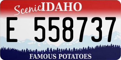 ID license plate E558737