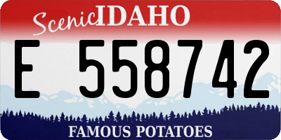 ID license plate E558742