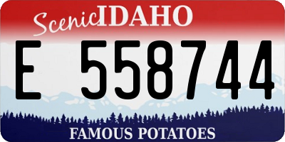 ID license plate E558744