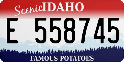 ID license plate E558745