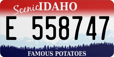 ID license plate E558747