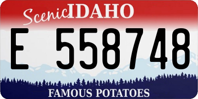 ID license plate E558748