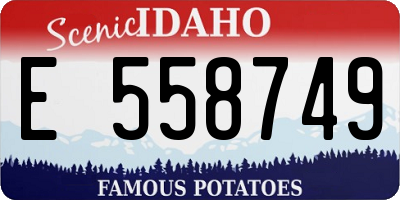 ID license plate E558749