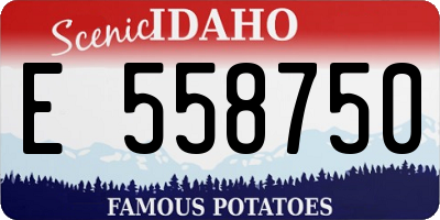ID license plate E558750