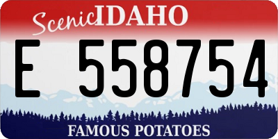 ID license plate E558754
