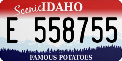 ID license plate E558755