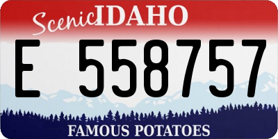 ID license plate E558757
