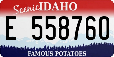ID license plate E558760