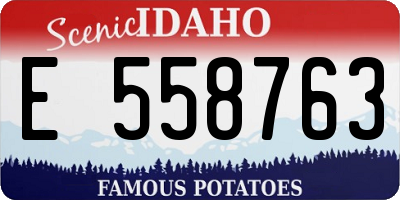 ID license plate E558763
