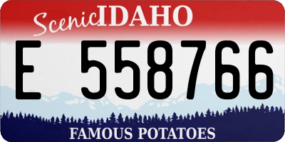 ID license plate E558766