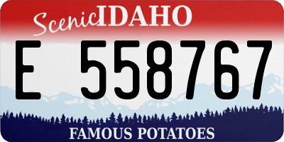 ID license plate E558767