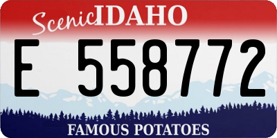 ID license plate E558772