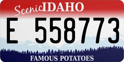 ID license plate E558773