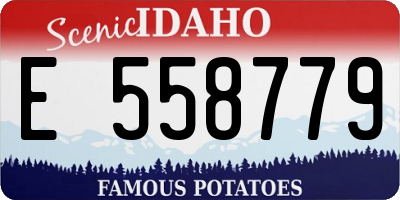ID license plate E558779