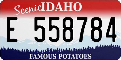 ID license plate E558784