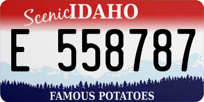 ID license plate E558787