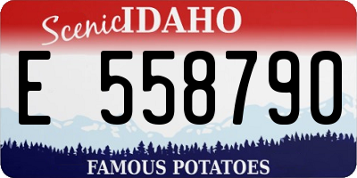ID license plate E558790