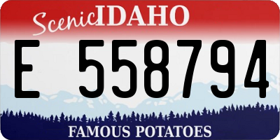 ID license plate E558794