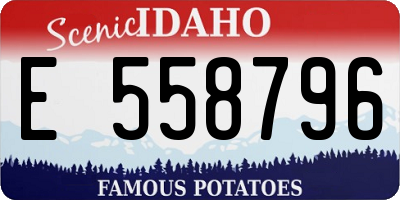 ID license plate E558796