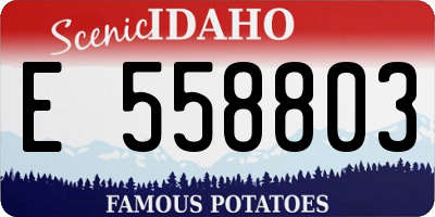 ID license plate E558803