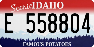 ID license plate E558804