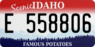 ID license plate E558806