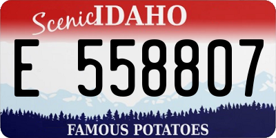 ID license plate E558807