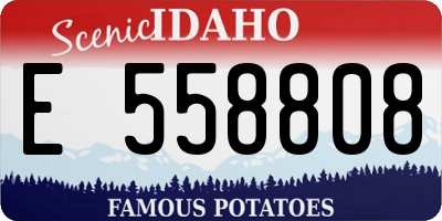 ID license plate E558808