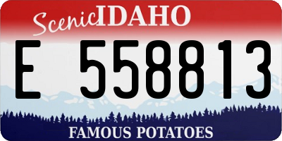 ID license plate E558813