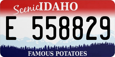 ID license plate E558829
