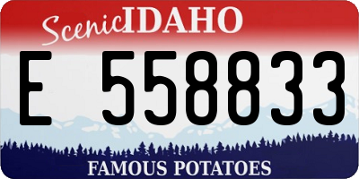 ID license plate E558833