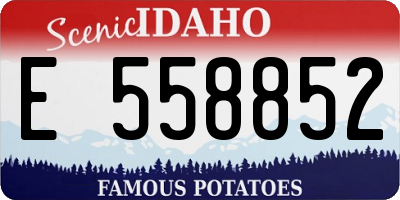ID license plate E558852