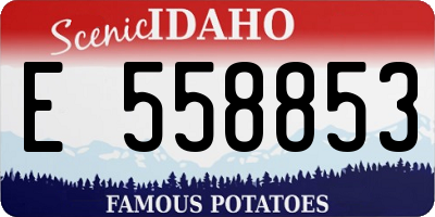 ID license plate E558853