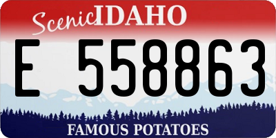 ID license plate E558863