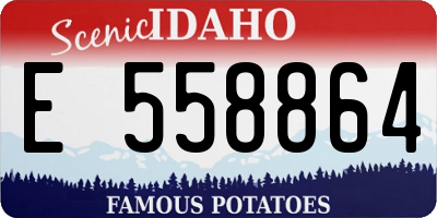ID license plate E558864