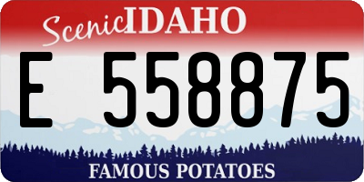 ID license plate E558875