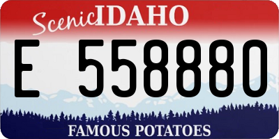 ID license plate E558880