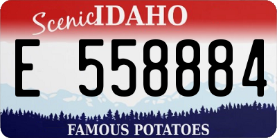 ID license plate E558884