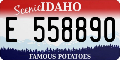 ID license plate E558890