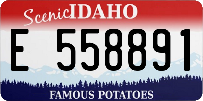 ID license plate E558891