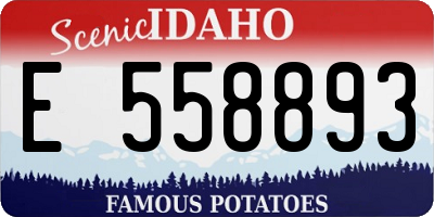 ID license plate E558893