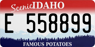 ID license plate E558899