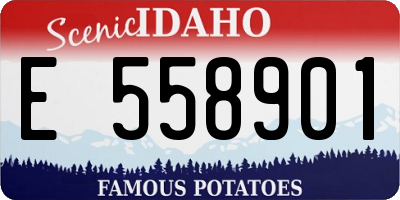 ID license plate E558901