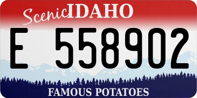 ID license plate E558902