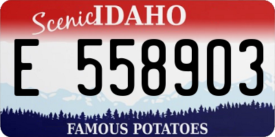 ID license plate E558903